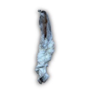 Hairy Rabbit Ear