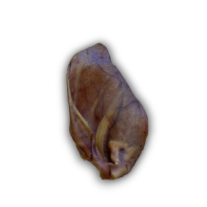 Pigs Ear